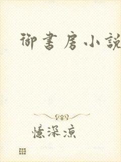 御书房小说