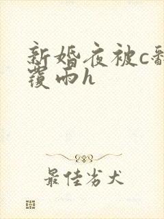 新婚夜被c翻云覆雨h封面