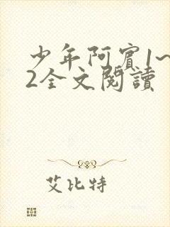 少年阿宾1~72全文阅读