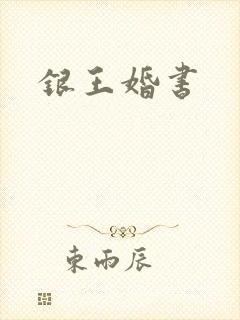 银王婚书封面
