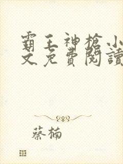 霸王神枪小说全文免费阅读无删减