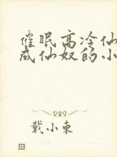 催眠高冷仙奴变成仙奴的小说