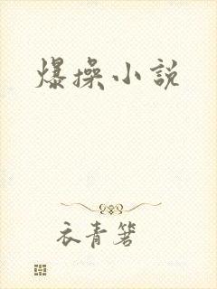 爆操小说