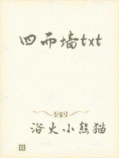 四面墙txt封面