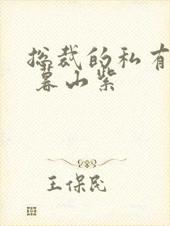 总裁的私有宝贝 暮山紫