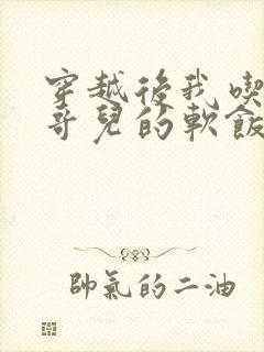 穿越后我吃到了哥儿的软饭炉山灰