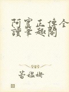 阿宾正传全文阅读笔趣阁