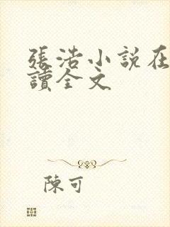 张浩小说在线阅读全文