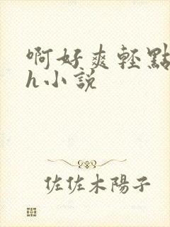 啊好爽轻点啊嗯h小说