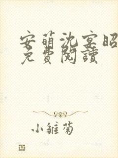 安萌沈宴昭小说免费阅读封面