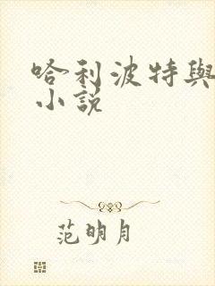 哈利波特与密室小说