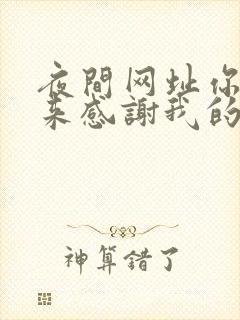 夜间网址你会回来感谢我的封面