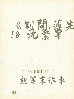 《别闹,薄先生!》沈繁星封面