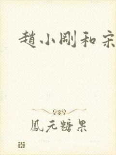 赵小刚和宋雨晴封面