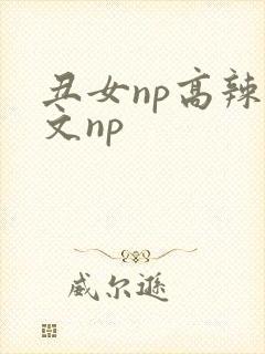 丑女np高辣h文np