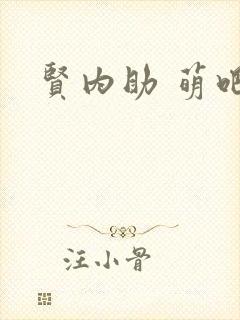 贤内助 萌吧啦封面