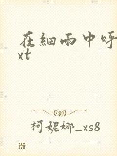 在细雨中呼喊txt