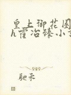 皇上御花园hlh霍冶臻小说