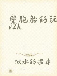 双胞胎的玩具1v2h