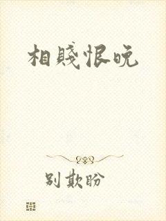 相贱恨晚封面