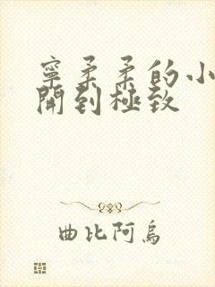 宁柔柔的小泬撑开到极致