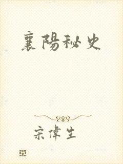 襄阳秘史
