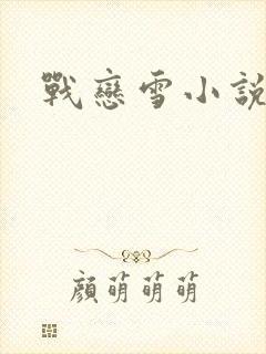 战恋雪小说封面
