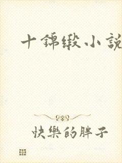 十锦缎小说封面