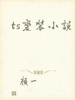 ts变装小说