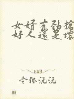 女婿有劲枪枪是好人还是坏人