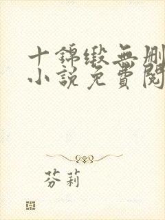 十锦缎无删原著小说免费阅读封面