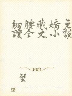 细腰藏娇免费阅读全文小说苏珞浅