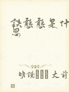 铁憨憨是什么意思封面