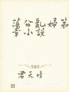 荡公乱妇第51章小说