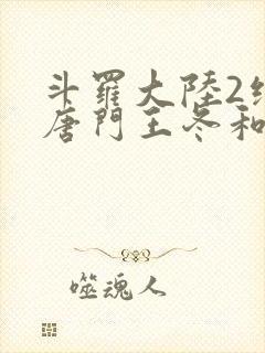 斗罗大陆2绝世唐门王冬和霍雨浩