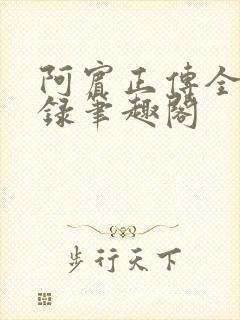 阿宾正传全文目录笔趣阁