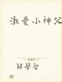激爱小神父