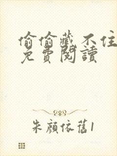 偷偷藏不住小说免费阅读