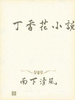 丁香花小说封面