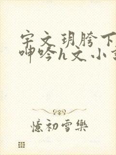 宇文玥胯下娇喘呻吟h文小说