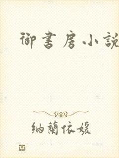 御书房小说