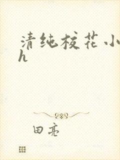 清纯校花小说高h封面