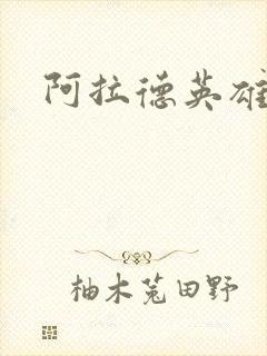 阿拉德英雄传封面