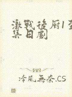 激战后厨1至5集日剧