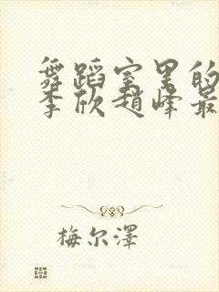 舞蹈室里的景色李欣赵峰最新章节