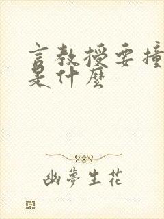 言教授要撞坏了是什么封面