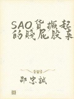 SAO货撅起你的贱屁股来