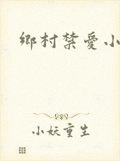乡村禁爱小说