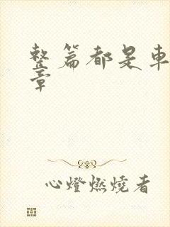 整篇都是车的文章