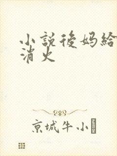 小说后妈给我消消火封面